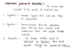 Handwritten Notes of 10th Class Science Screenshot 2
