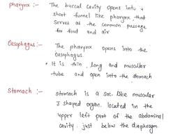 Handwritten Notes of 10th Class Science Screenshot 3
