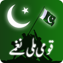 Mili Naghmay Pakistani 2019 For Independence Day APK