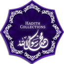 Hadith Collection (13 Books) APK