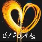 Urdu Love Poetry Romantic Shay icône