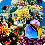 Sfondo di pesci d'acquario