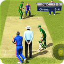 APK Pak Vs Eng World Cup Live Cricket Game