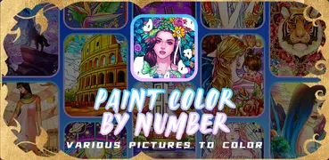 Paint Color by Number