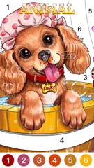 Descargar XAPK de Juego de colorear de fantasia