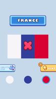 Flag Coloring Puzzle الملصق