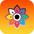 ColorFid