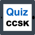 CCSK All-in-One Exam