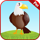 Aprende Aves Animales Juegos APK