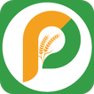 Pajasa Agro - Fresh Fruit & Ve