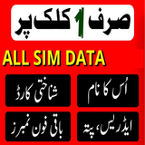 Pak E Services Sim Data アイコン