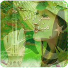 Pakistan Flag Face decorater icon