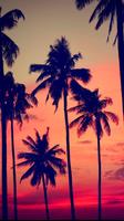 Palm Tree Wallpapers پوسٹر