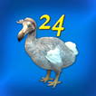 DoDo - Juego «24» con extras