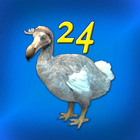DoDo - Game "24" with extras-icoon