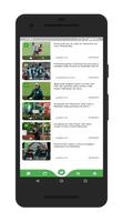 Palmeiras পোস্টার