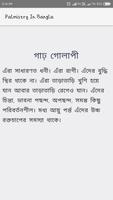 Palmistry in Bangla | বাংলা হস capture d'écran 2