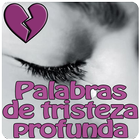 Palabras de tristeza profunda ikona