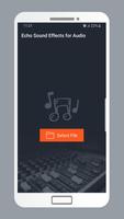 Echo Sound Effects for Audio पोस्टर