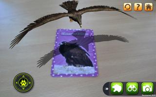 3D LEARNING CARD BIRDS syot layar 2