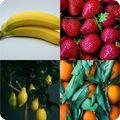 Guess the Fruit - World Fruit