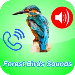 Canciones pájaros como tono de llamada de teléfono