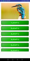 أصوات الطيور و العصافير بدون نت - أصوات الغابة ảnh chụp màn hình 1