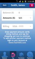 PayPAMS screenshot 2