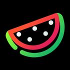 Watermelon - Lines Icon Pack icône