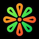 Marigold - Lines Icon Pack aplikacja