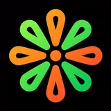 Marigold - Lines Icon Pack APK