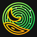 Outline Sunflower - Icon Pack APK