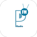 Panora Radio Station & Music Downloader APK
