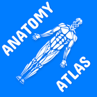 Anatomy Atlas for Students - L icône