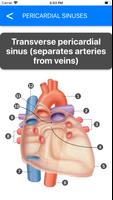 Anatomy Atlas for Students - P تصوير الشاشة 3