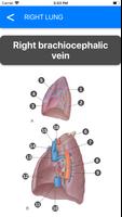 Anatomy Atlas for Students - P تصوير الشاشة 2