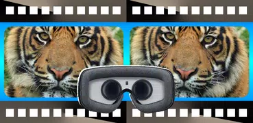 iPlay VR Player SBS 3D Video