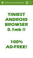Tiny Browser Affiche