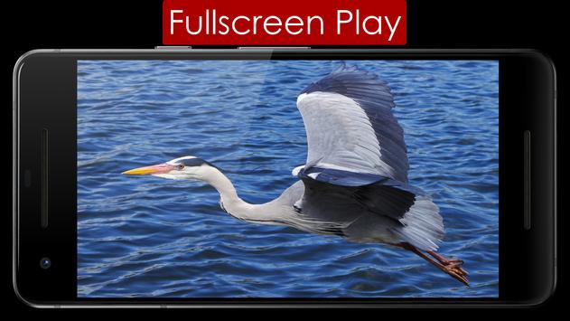 Play Lite 截图 1