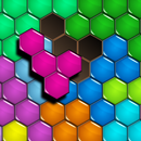 Hexagon Puzzle APK