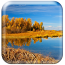 خلفيات الخريف HD APK