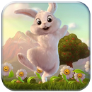बनी वॉलपेपर एच.डी. APK