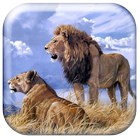 Roaring Lion Wallpaper HD icono