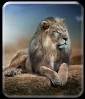 Roaring Lion Wallpaper HD captura de pantalla 3