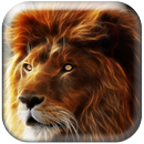 الأسد لايف للجدران APK