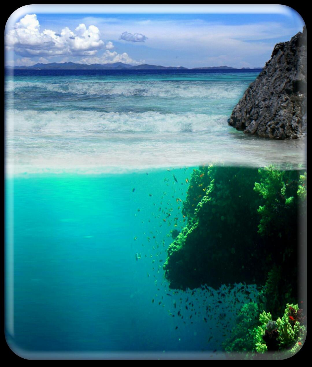 Живое море на телефон. Природа океан. Океан фото. Голубая Лагуна море. Лагуна в океане.