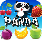 Panda Jeu icône