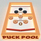 Puck Pool - Fast Sling Puck 3D icône