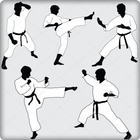 Guide d'apprentissage des arts martiaux icône