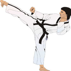 Guide d'apprentissage du mouvement de taekwondo icône